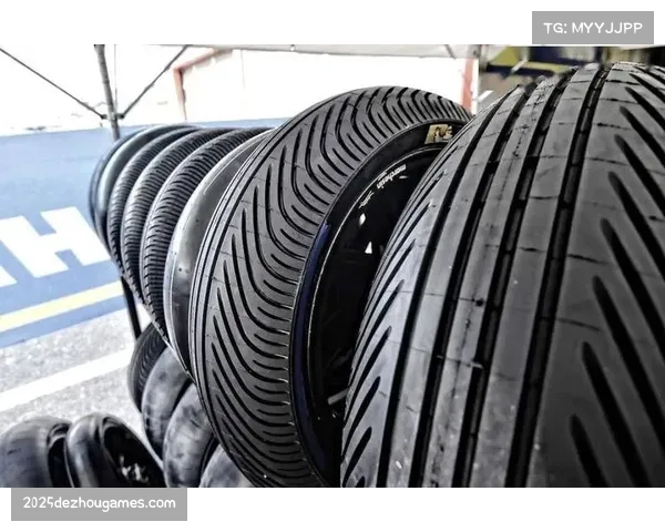 轮胎选择成胜负手：干地胎与雨胎策略导致排名大洗牌